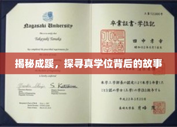 解码学历之谜，揭开真实学位背后的传奇旅程