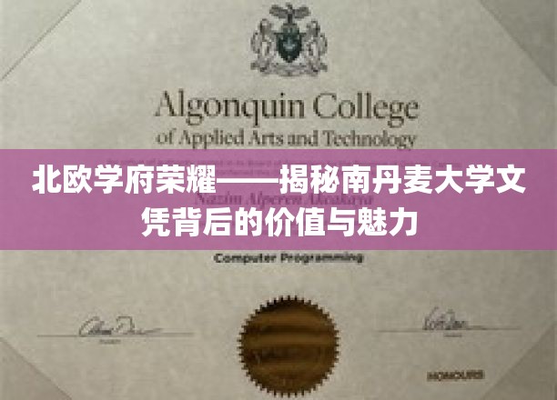 探寻南丹麦大学文凭的北欧之光，价值与魅力一窥究竟