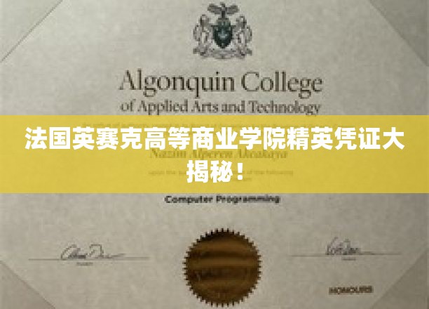 解码法国英赛克精英学院的神秘通行证，揭秘高商精英之路
