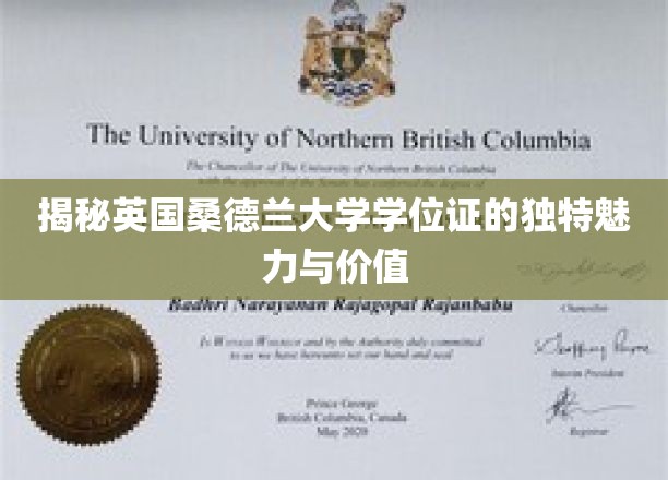 揭秘英国桑德兰大学学位证的独特魅力与价值