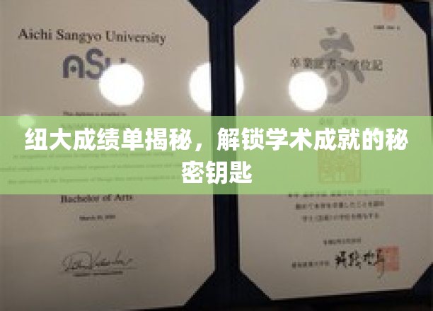 探寻纽大卓越背后的秘密，揭秘学术成就的神秘之门