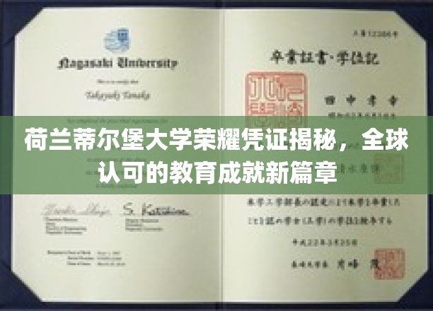 蒂尔堡大学荣耀认证，开启国际教育成就新纪元
