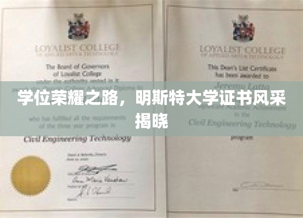 荣耀启航，明斯特大学学位证书的璀璨风采展现
