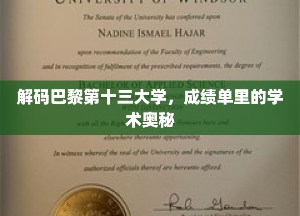 巴黎十三大学揭秘，隐藏在成绩单背后的学术秘密