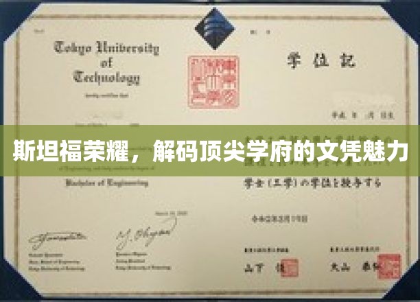 斯坦福传奇，揭秘世界顶尖学府的文凭魔力