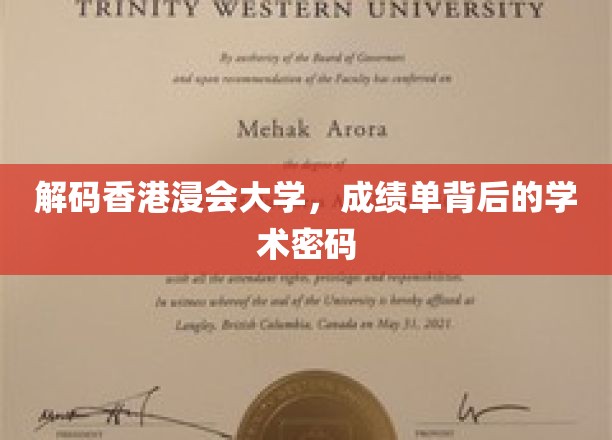 香港浸会大学成绩单揭秘，探寻学术成就的深层奥秘