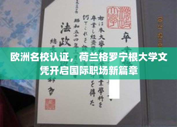 欧洲名校认证，荷兰格罗宁根大学文凭开启国际职场新篇章