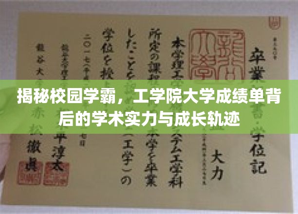 揭秘，校园精英养成记，工学院学霸的成绩单背后的学术力量与成长之路