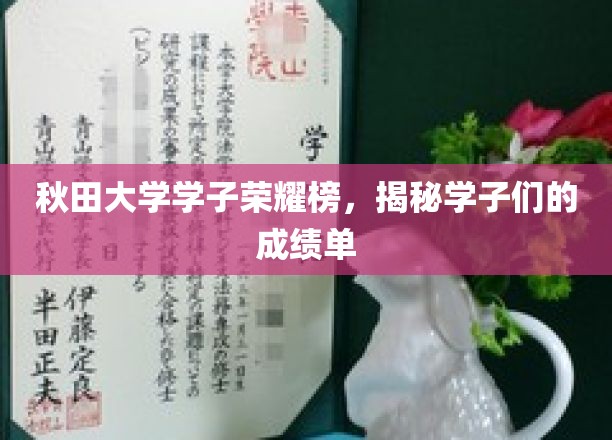 秋田骄子风采录，解码学子们的卓越成绩