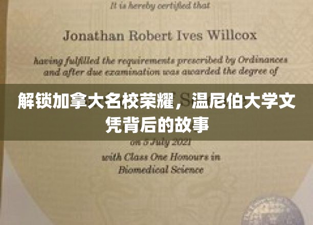 揭开温尼伯大学卓越光环，探索名校背后的传奇之路