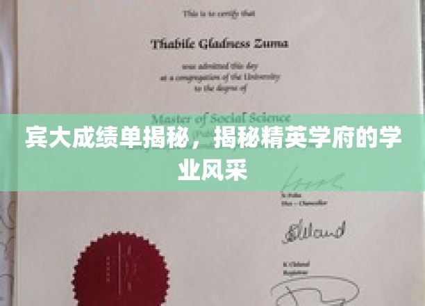 宾大精英学府，一窥顶尖学子的学业卓越之路