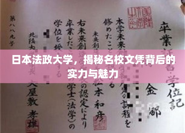 探寻日本法政大学，名校光环下的实力与独特魅力