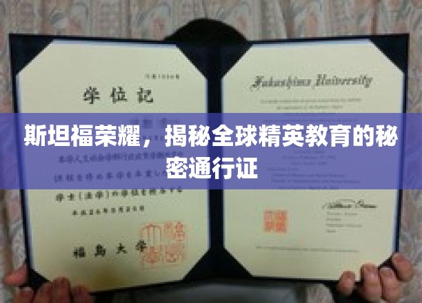 斯坦福荣耀，揭秘全球精英教育的秘密通行证