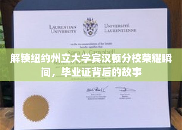 解锁纽约州立大学宾汉顿分校荣耀瞬间，探寻毕业证背后的故事