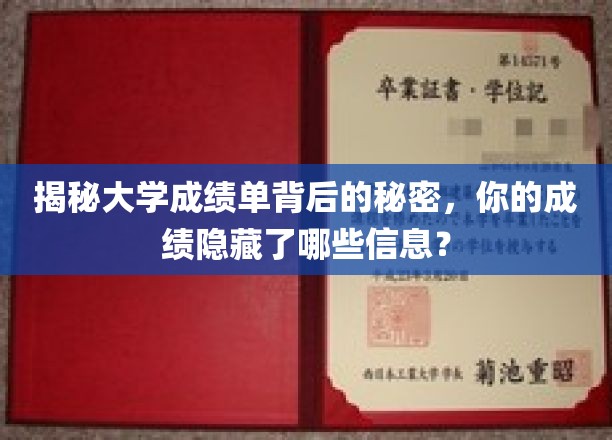 解码成绩单，探寻隐藏在大学成绩背后的深层奥秘
