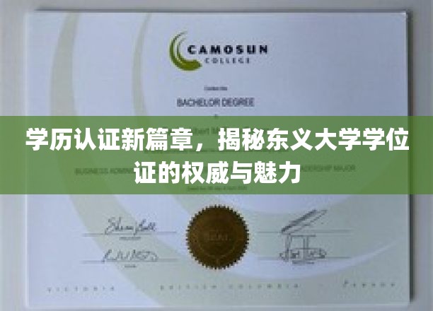 东义大学学位证，权威认证背后的非凡魅力探索