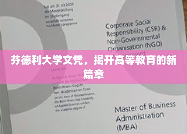芬德利大学新文凭引领教育革新浪潮