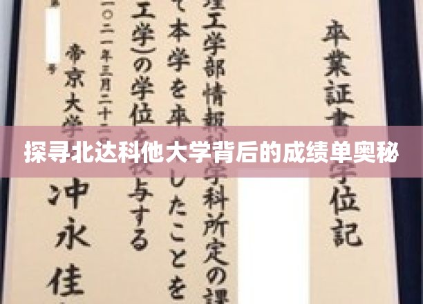 揭开北达科他大学卓越成就的秘密面纱