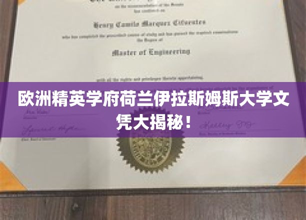 荷兰伊拉斯姆斯大学，欧洲精英教育之光，文凭价值如何？