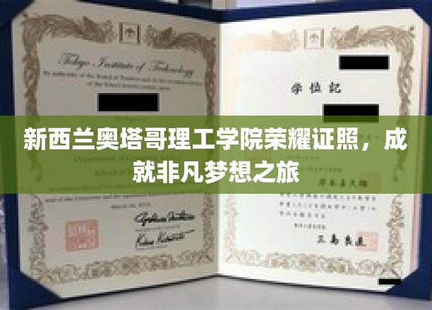 新西兰奥塔哥理工学院荣耀证照，成就非凡梦想之旅