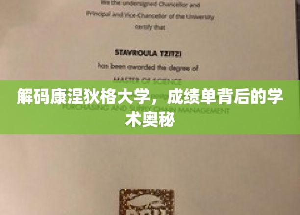 揭示康涅狄格大学，成绩单深处的学术秘密面纱