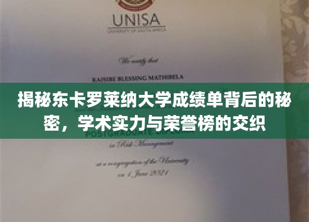 东卡罗莱纳大学成绩单，探寻学术殿堂的实力与荣耀密码