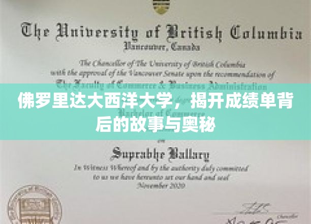 解码佛罗里达大西洋大学，成绩单背后隐藏的秘密与启示