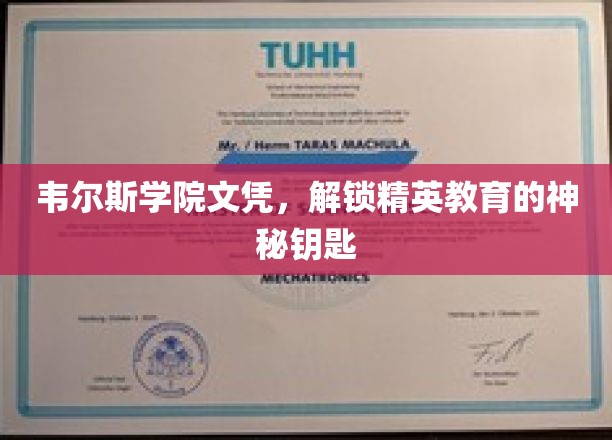 韦尔斯学院文凭，揭秘精英教育的非凡通行证