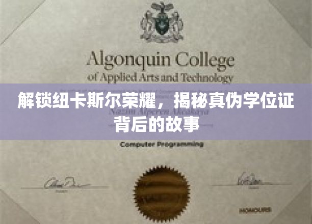 解锁纽卡斯尔荣耀，揭示真伪学位证背后的故事