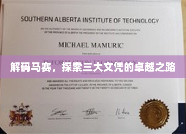 马赛精英之路，揭秘三大文凭背后的非凡成长轨迹