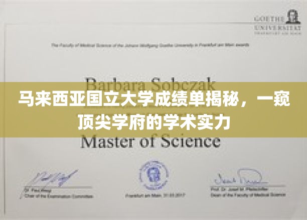 马来西亚国立大学成绩单背后的学术魅力探秘