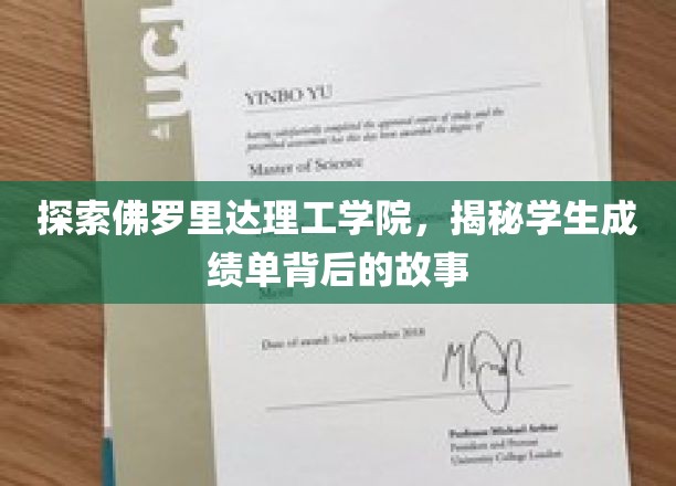 佛罗里达理工学院揭秘，成绩单背后隐藏的校园传奇