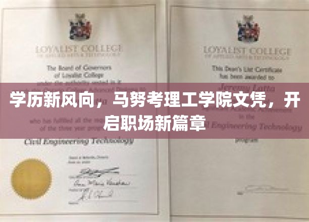 马努新突破，理工文凭助力，职场精英再攀高峰