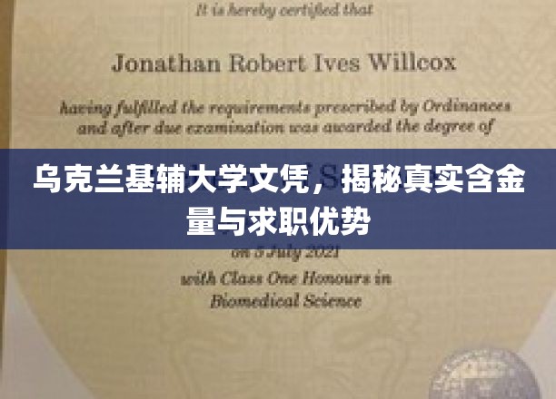 乌克兰基辅大学文凭，解析求职市场上的价值与亮点