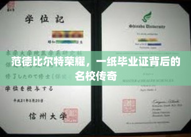 毕业证书映照下的范德比尔特辉煌，名校背后的传奇故事