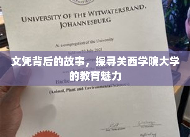 关西学院大学，揭秘文凭背后的教育风采