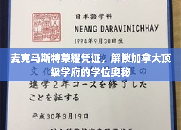 麦克马斯特荣耀凭证，解锁加拿大顶级学府的学位奥秘