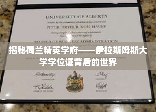 探寻荷兰顶尖学府伊拉斯姆斯大学，学位证书背后的璀璨奥秘