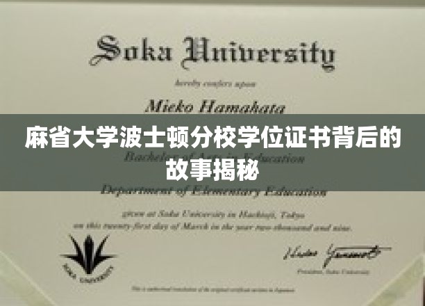 探寻麻省大学波士顿分校学位证书背后的传奇印记
