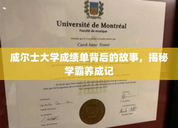 威尔士学霸养成记，揭开成绩单背后的神秘面纱