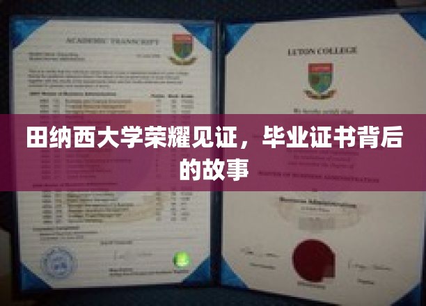 田纳西荣耀，揭秘毕业证书背后的荣耀历程