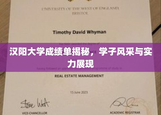 汉阳大学学子实力大曝光，成绩单背后的风采与荣耀