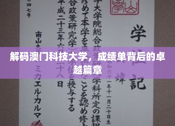 解码澳门科技大学，成绩单背后的卓越篇章