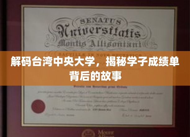 台中大揭秘，学子成绩单背后的成长轨迹