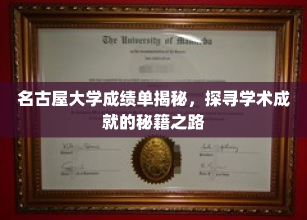 名古屋大学成绩单揭秘，探寻学术成就的秘籍之路