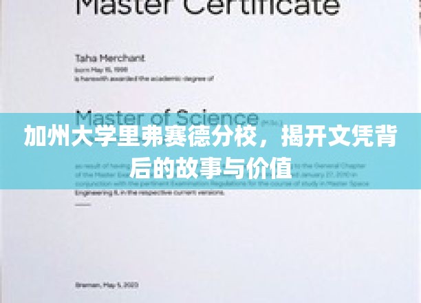 解码加州里弗赛德，文凭背后的大学传奇与真实价值