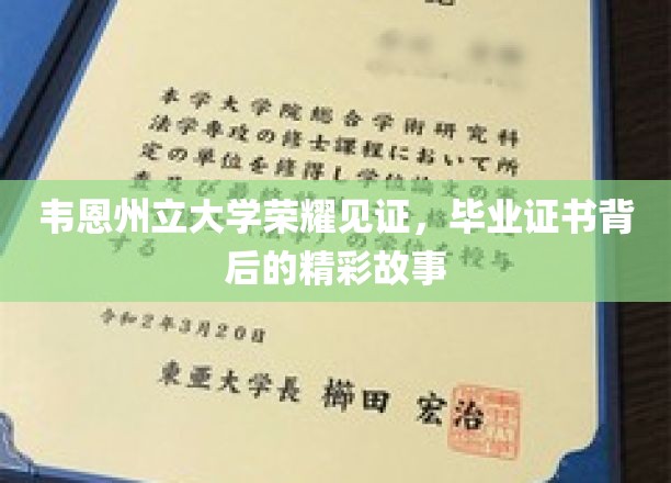 韦恩州立大学荣耀见证，毕业证书背后的精彩故事
