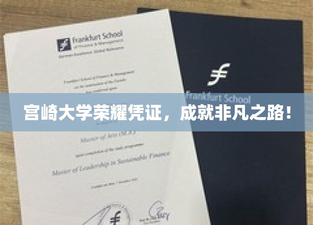 宫崎大学荣耀凭证，成就非凡之路！