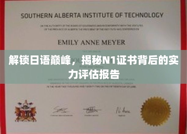 日语N1证书背后，一窥实力评估的神秘世界