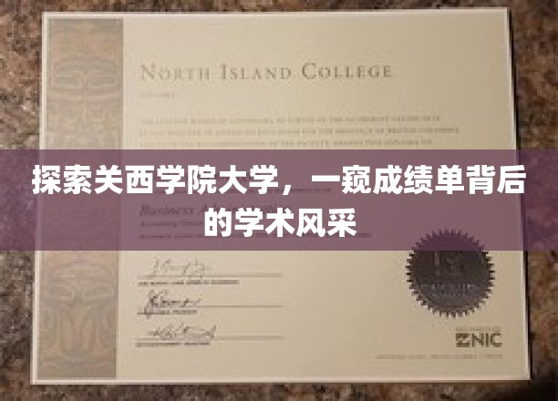 解码关西学院大学，揭秘成绩单下的学术魅力